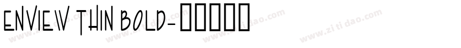 Enview Thin Bold字体转换